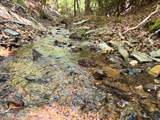 295 Mountain Laurel Ridge - Photo 7
