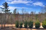 1038 Synacia Drive - Photo 56