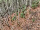 14092 Big Creek Road - Photo 37