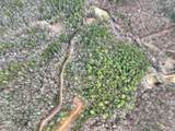 14092 Big Creek Road - Photo 41