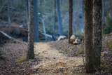 164 Water Dance Trail - Photo 17