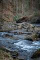 164 Water Dance Trail - Photo 20