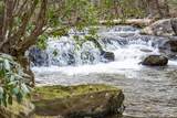 164 Water Dance Trail - Photo 3