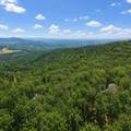 71 Cutthroat Ridge Road - Photo 36