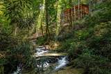 122 Laurel Creek Trail - Photo 4