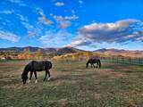 186 Rice Landing Ct. - Photo 8