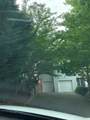 687 Anderson Road - Photo 30