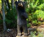 363 Weeks Creek Road - Photo 102