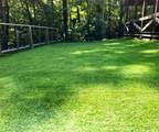 363 Weeks Creek Road - Photo 113
