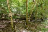 363 Weeks Creek Road - Photo 124