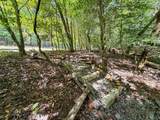 363 Weeks Creek Road - Photo 125