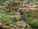 363 Weeks Creek Road - Photo 126