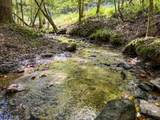 363 Weeks Creek Road - Photo 127