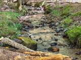 363 Weeks Creek Road - Photo 128