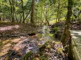 363 Weeks Creek Road - Photo 129