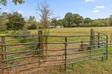 446 Brown Bridge Road - Photo 16