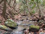 691 Mitchell Branch Road - Photo 22