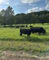 3147 Old Hwy 64 W - Photo 94
