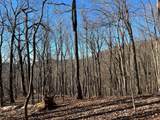 0 Sassafras Court - Photo 1
