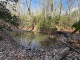 636 Bear Paw Trail - Photo 49