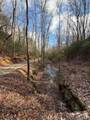 636 Bear Paw Trail - Photo 54