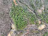 14092 Big Creek Road - Photo 28