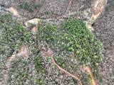 14092 Big Creek Road - Photo 29