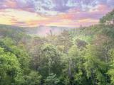 115 Hawks View - Photo 22