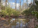 636 Bear Paw Trail - Photo 35