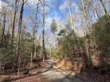 636 Bear Paw Trail - Photo 59
