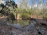 636 Bear Paw Trail - Photo 70