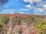 115 Hawks View - Photo 44