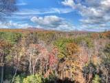 115 Hawks View - Photo 48
