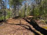 92 Misty Mountain Trail - Photo 67
