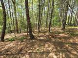 92 Misty Mountain Trail - Photo 60