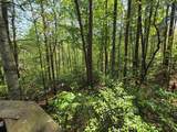 92 Misty Mountain Trail - Photo 62