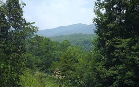 8-D Eagle Heights S/D - Photo 1