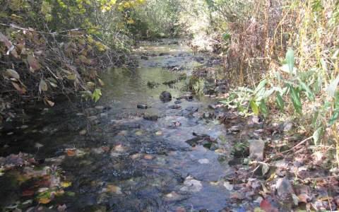 Hedden/Sparrow Rd - Photo 1