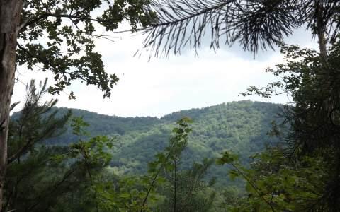 TR2&3 Sanders Road - Photo 1