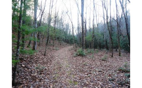 LT 23 Shelton Springs - Photo 1