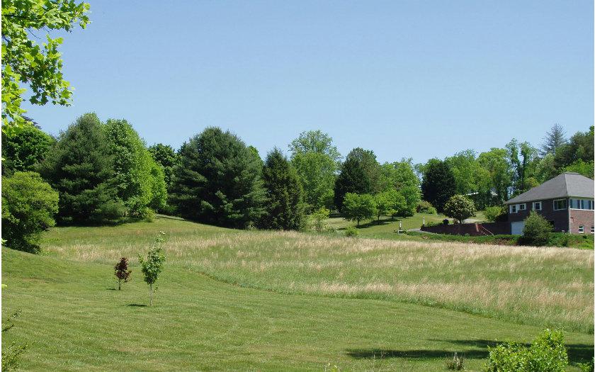 LOT 4 Springwood - Photo 1