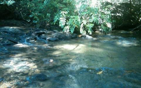 Hwy 17 - Photo 1