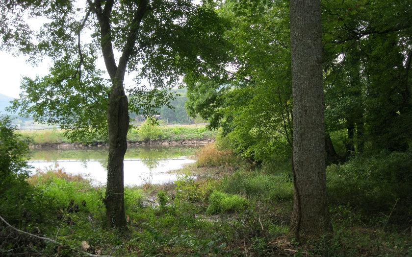 LOT#5 Rolling Acres - Photo 1
