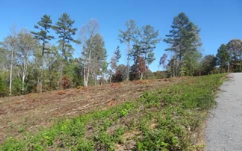 LT 2 Brookwood Hills - Photo 1