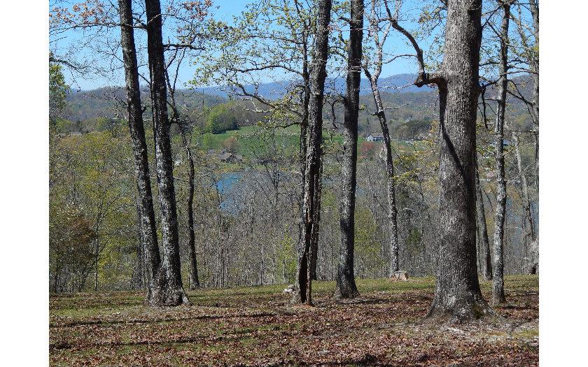LOT 9 Drake Ridge - Photo 1 LOT 9 Drake Ridge - Photo 1