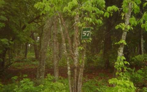 LT 57 Arden Acres - Photo 1
