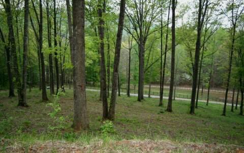 Pine Ridge Dr. Lot 2 - Photo 1