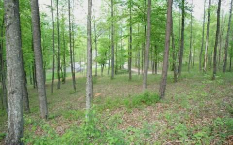 Pine Ridge Dr. Lot 3 - Photo 1