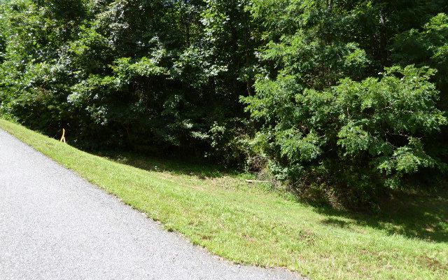 LT4 Huntington Ridge - Photo 1