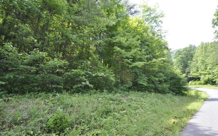 123 Scenic Vista Drive - Photo 1